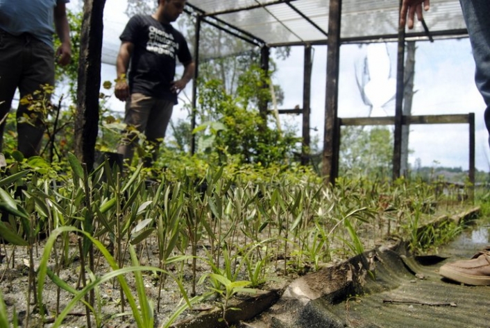 Sao Paulo – Growing Farmers’ Income